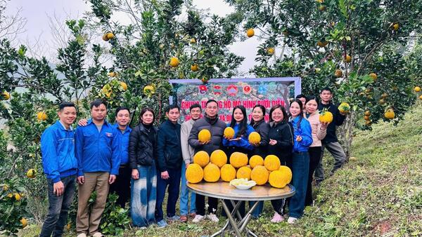 MẶT TRẬN TỔ QUỐC VÀ CÁC TỔ CHỨC CHÍNH TRỊ- XÃ HỘI XÃ ĐÌNH LẬP TỔ CHỨC LIVESTREAM QUẢNG BÁ, HỖ TRỢ TIÊU THỤ BƯỞI DIỄN CHO HỘI VIÊN HỘI NÔNG DÂN