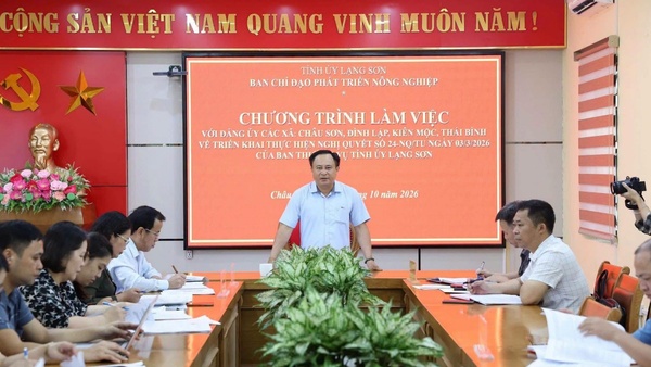 BAN CHỈ ĐẠO PHÁT TRIỂN NÔNG NGHIỆP TỈNH KIỂM TRA VIỆC THỰC HIỆN NGHỊ QUYẾT SỐ 24-NQ/TU TẠI CÁC XÃ THUỘC KHU VỰC ĐÌNH LẬP